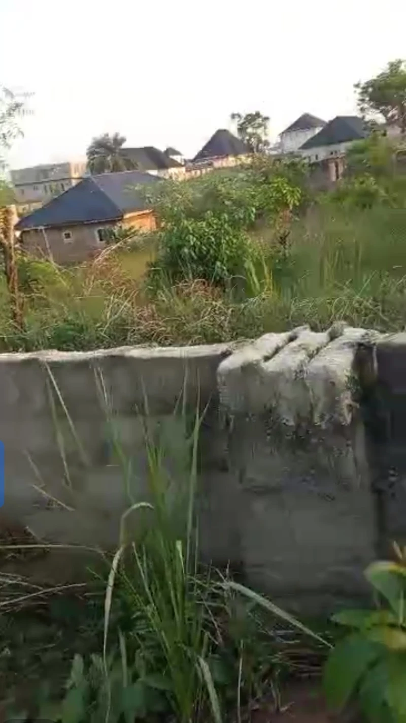 Land for Sale in Okpanam, back of fuji house, Delta - Image 1