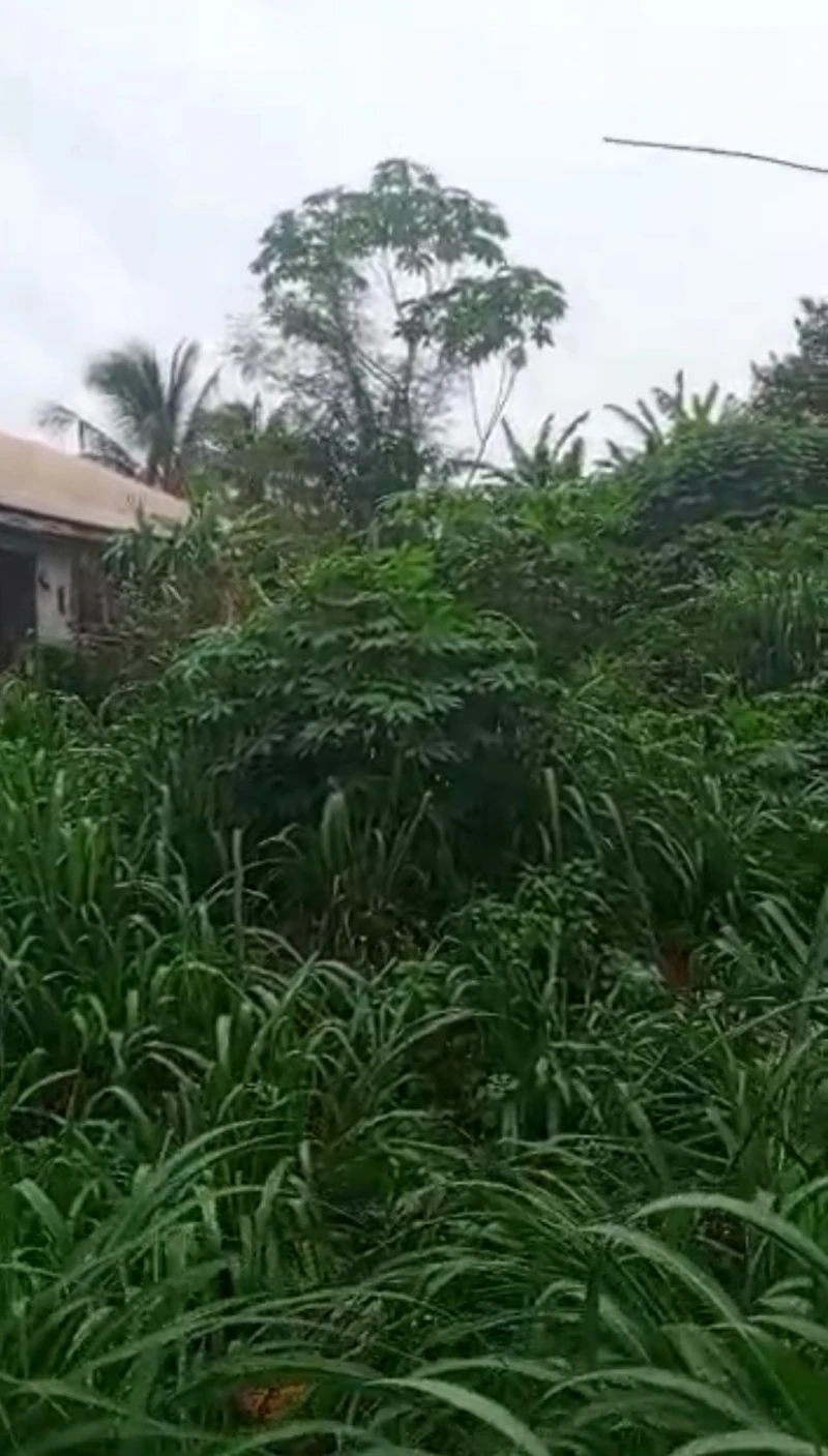 Land for Sale in Off okpanam bypass, Delta - Image 1