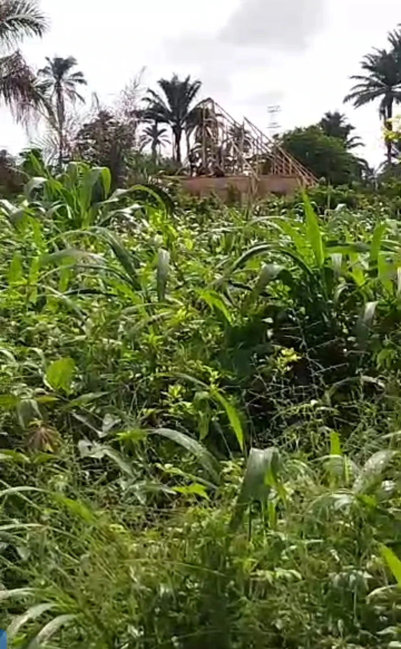 Land for Sale in Poly road, back of campus, Delta - Image 2