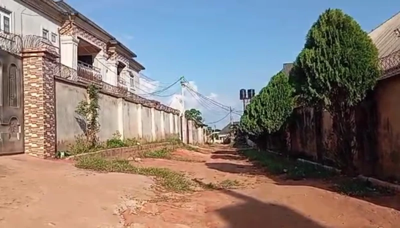 Land for Sale in Okpanam road, Delta - Image 1