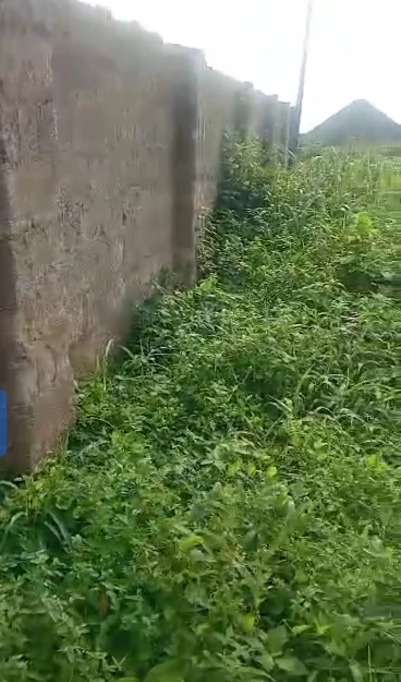 Land for Sale in Jasmine akara junction, Delta - Image 1