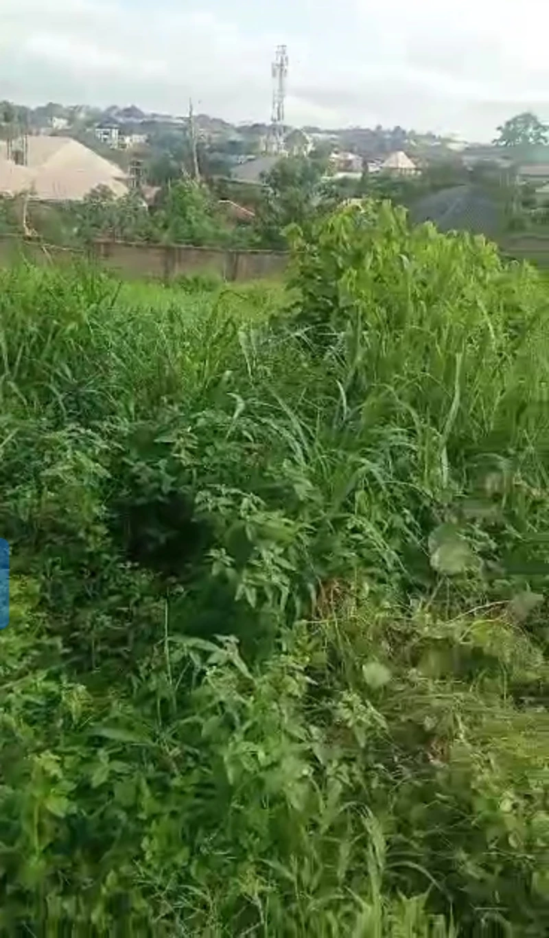 Land for Sale in Jasmine akara junction, Delta - Image 2