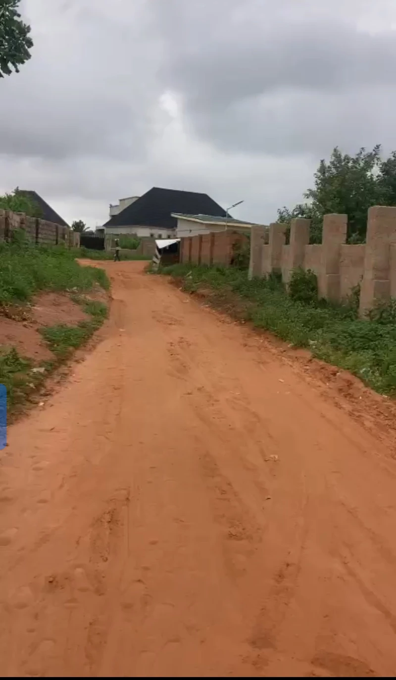 Land for Sale in Okpanam, Delta - Image 4