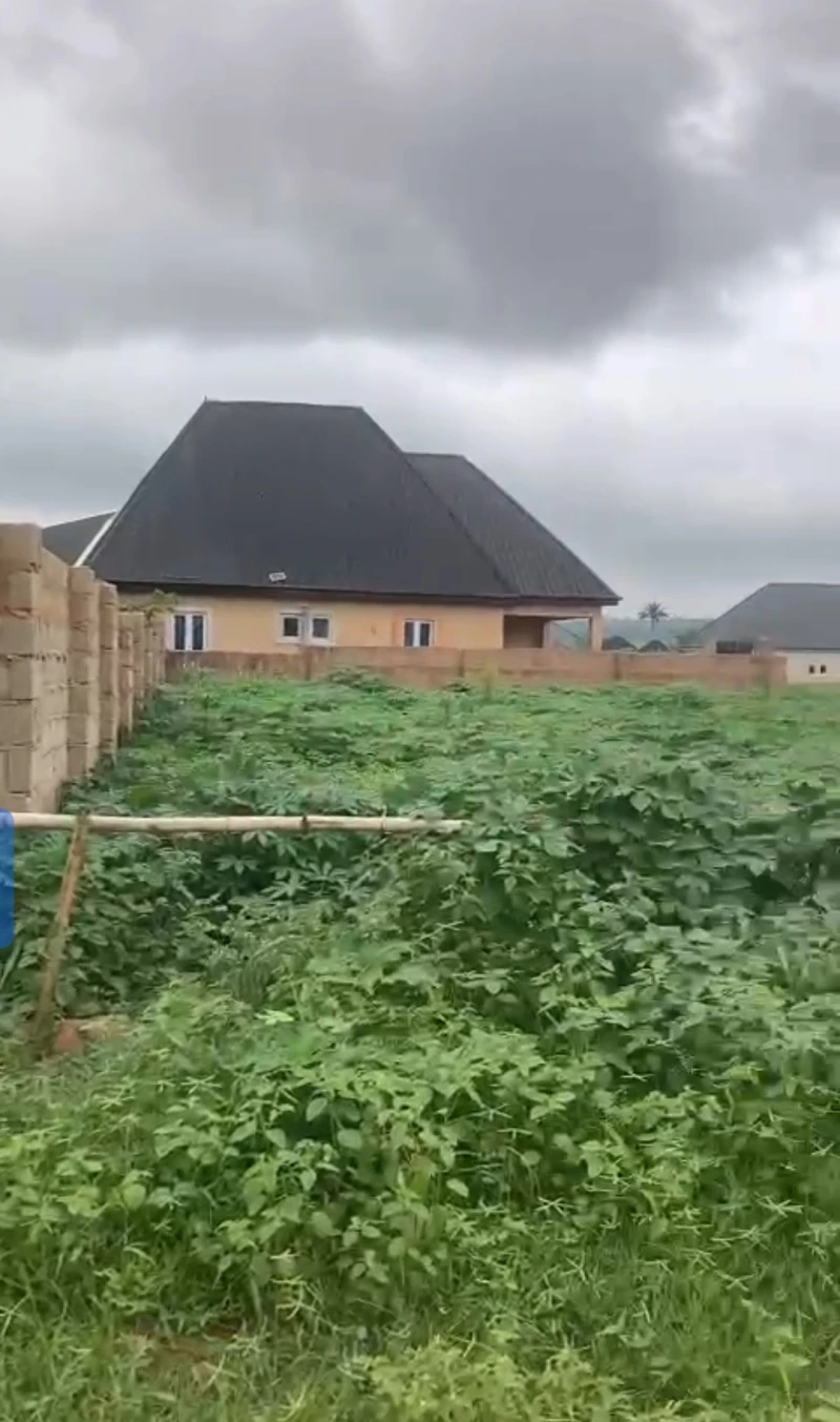 Land for Sale in Okpanam, Delta - Image 3