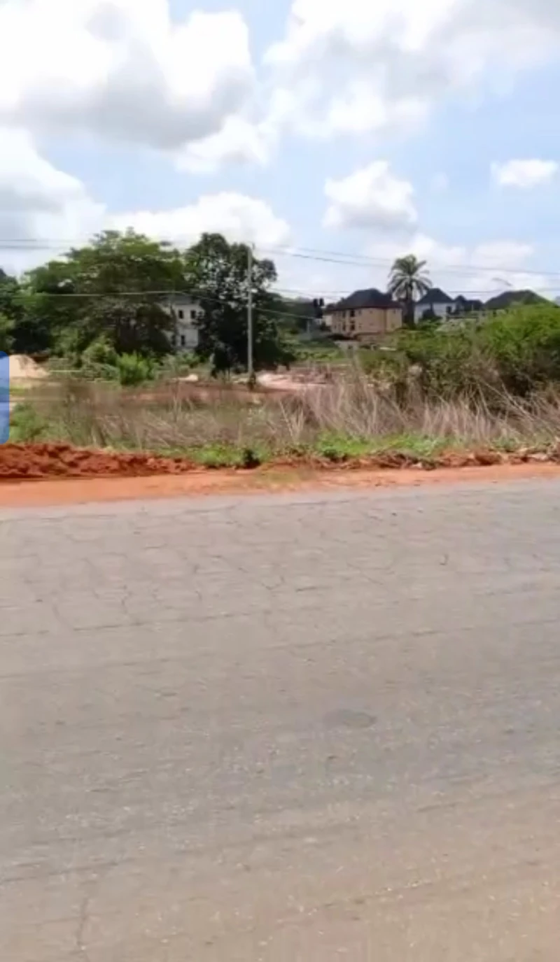Land for Sale in Okpanam, Delta - Image 1