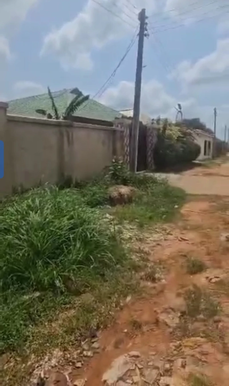 Land for Sale in Back if general Hospital Okpanam, Delta - Image 1