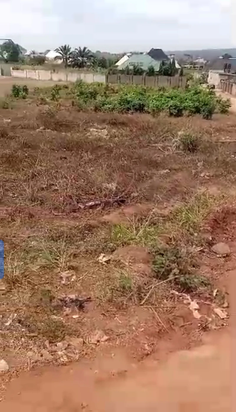 Land for Sale in Opposite Okpanam city gate, Delta - Image 3