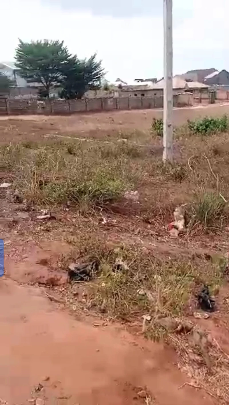 Land for Sale in Opposite Okpanam city gate, Delta - Image 2