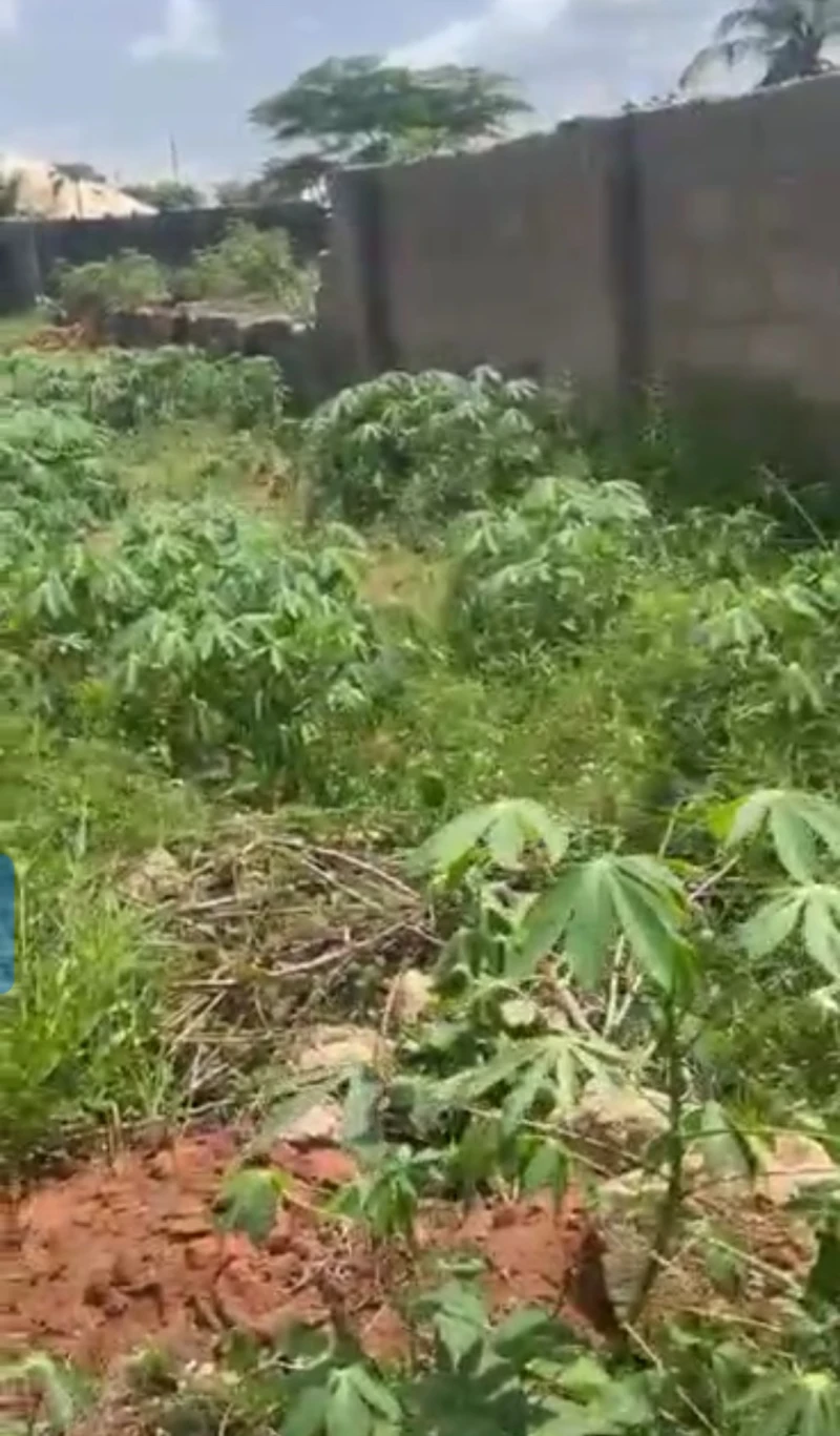 Land for Sale in Amachai Okpanam, Delta - Image 3