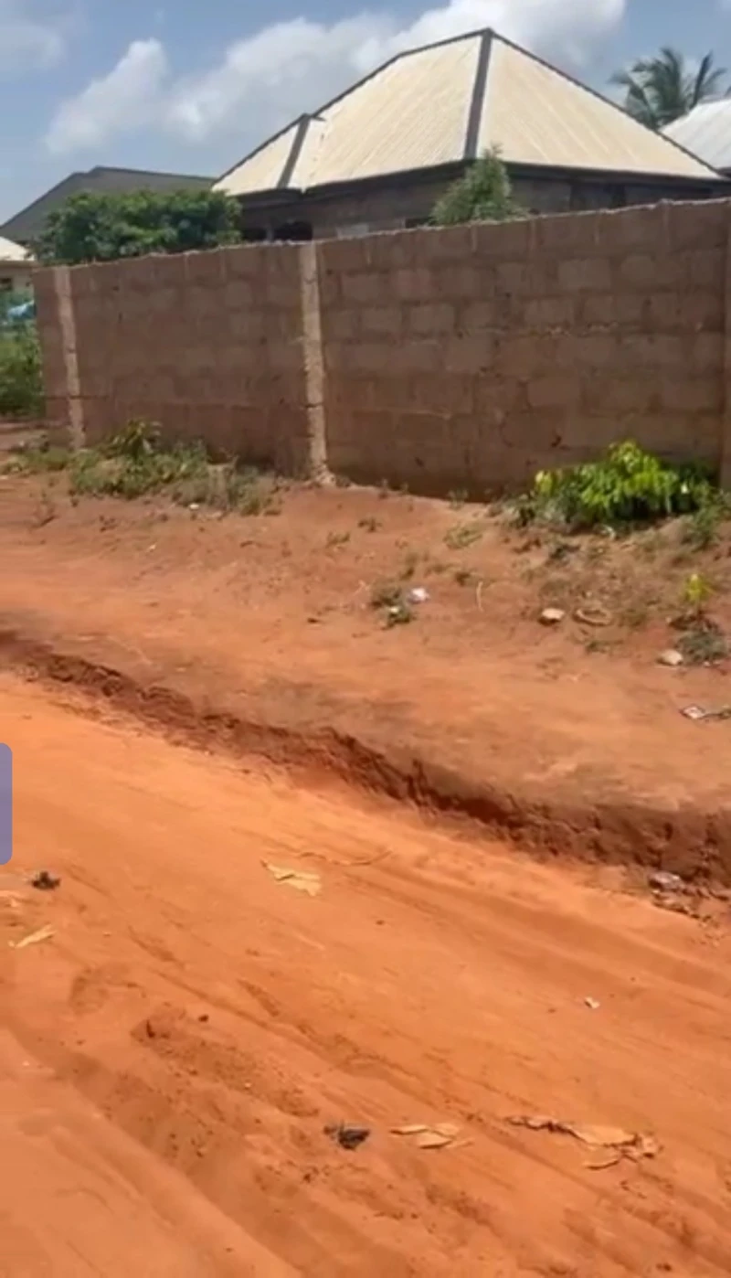 Land for Sale in Amachai Okpanam, Delta - Image 2