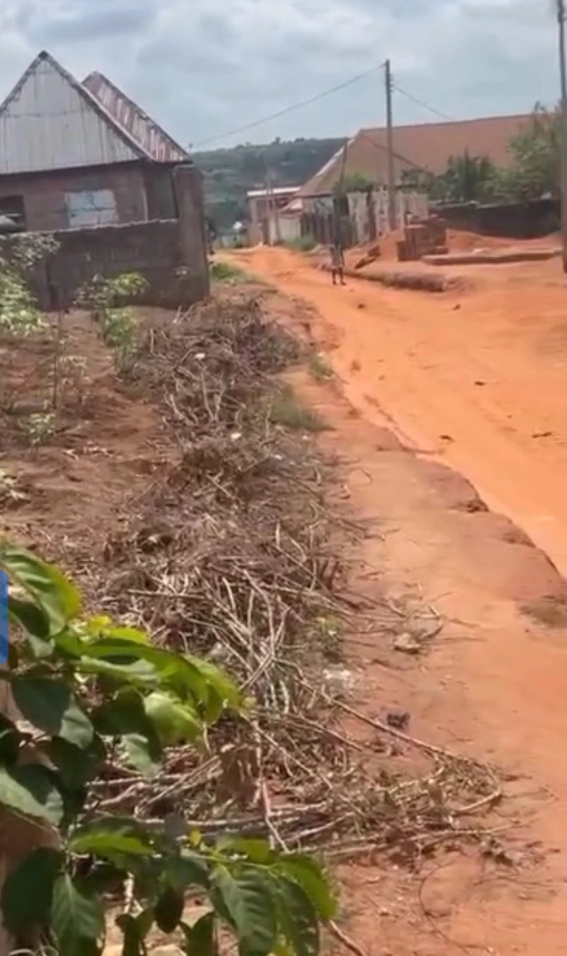 Land for Sale in Amachai Okpanam, Delta - Image 5