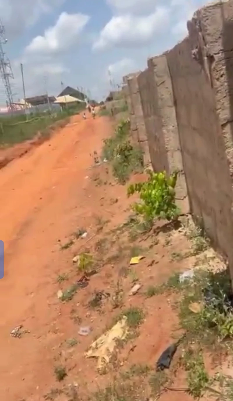 Land for Sale in Amachai Okpanam, Delta - Image 4