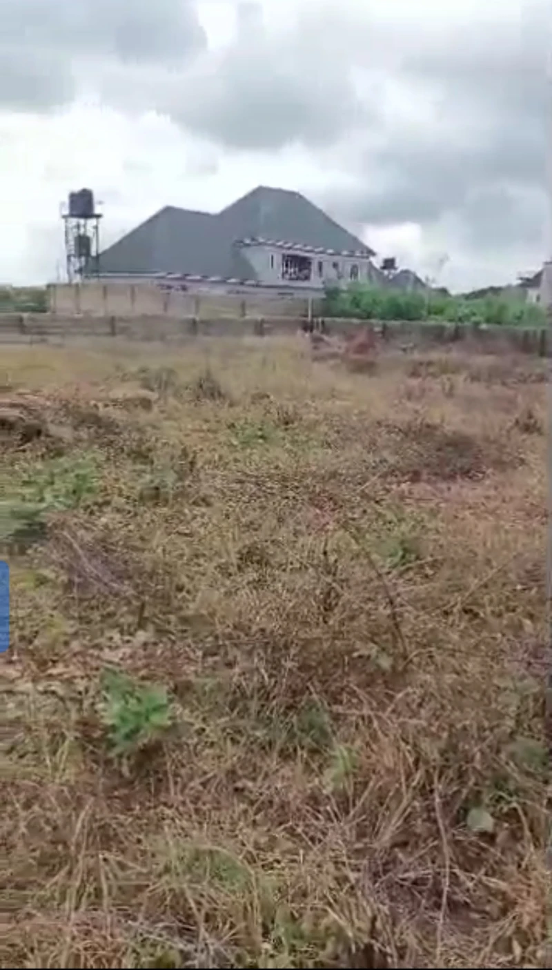 Land for Sale in IBUSA Road, Delta - Image 2