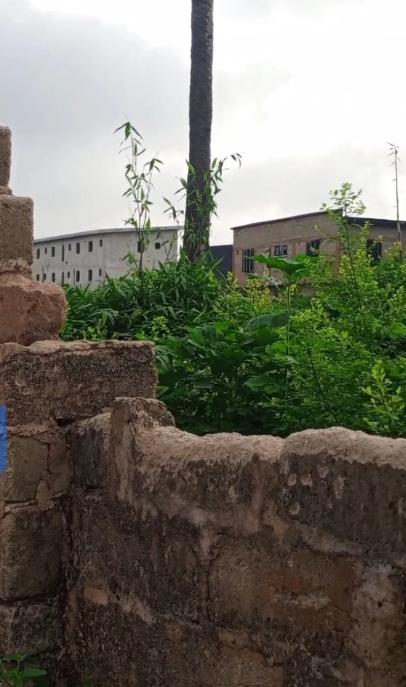 Land for Sale in Okpanam, by city gate, Delta - Image 2