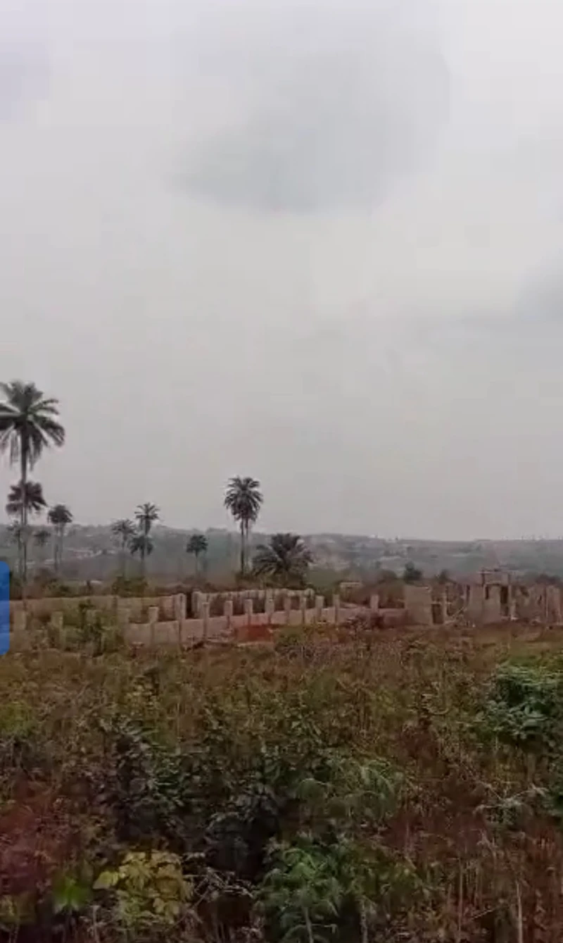 Land for Sale in back of Asaba international airport, Delta - Image 2