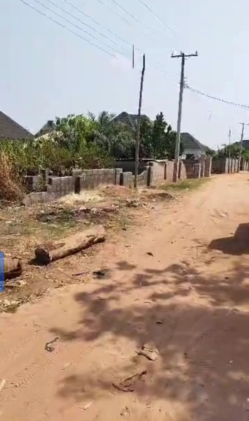 Land for Sale in Okpanam Road, Delta - Image 2