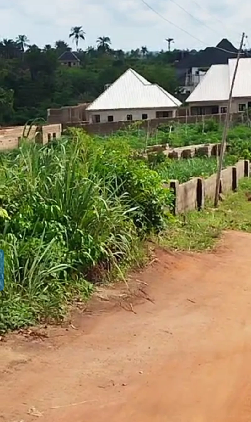 Land for Sale in Amachai Okpanam, Delta - Image 2
