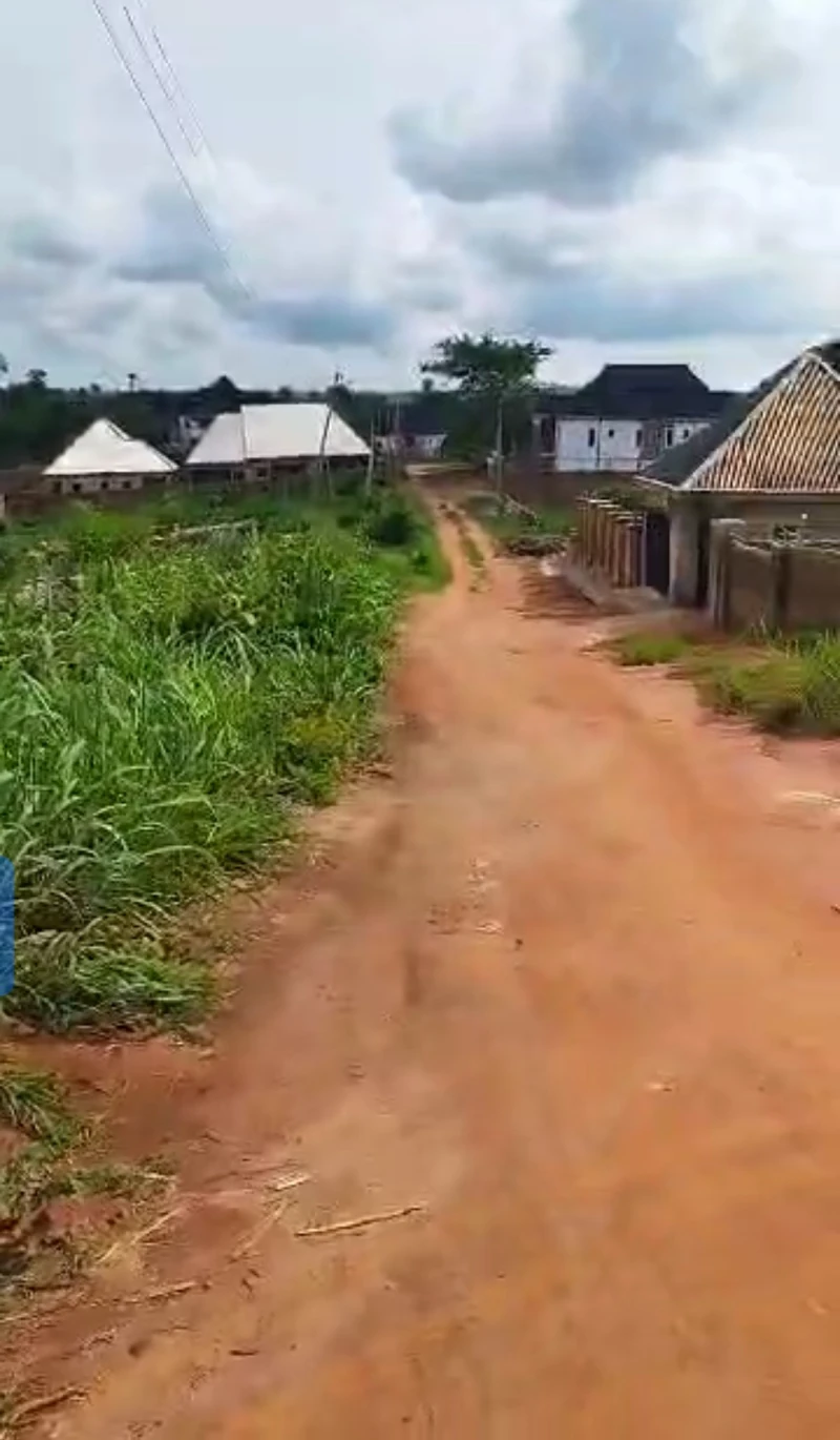Land for Sale in Amachai Okpanam, Delta - Image 3