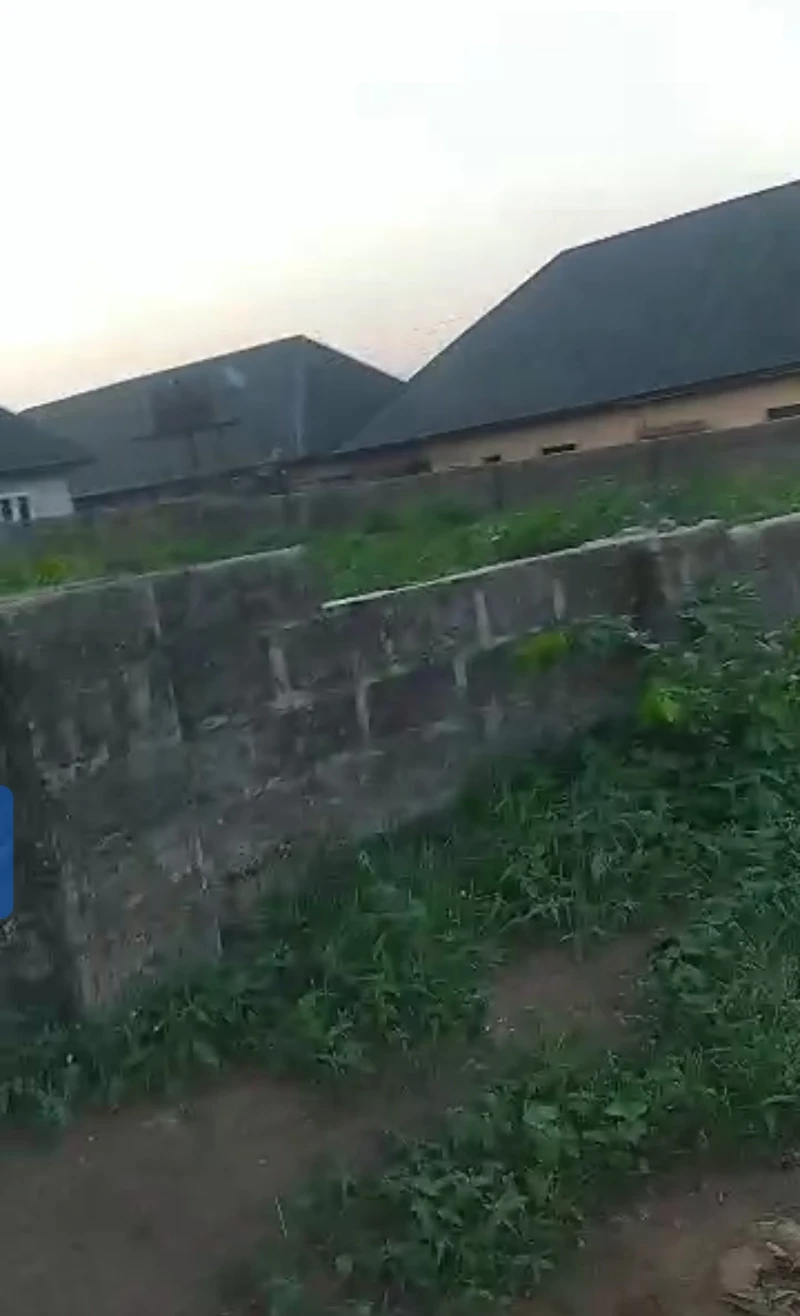 Land for Sale in Ibusa bypass, Delta - Image 3