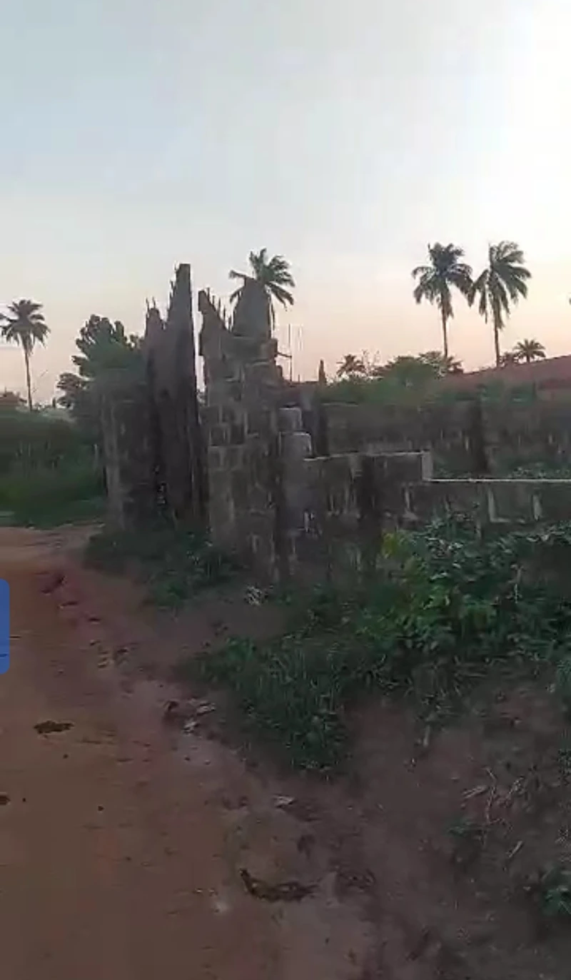 Land for Sale in Ibusa bypass, Delta - Image 1