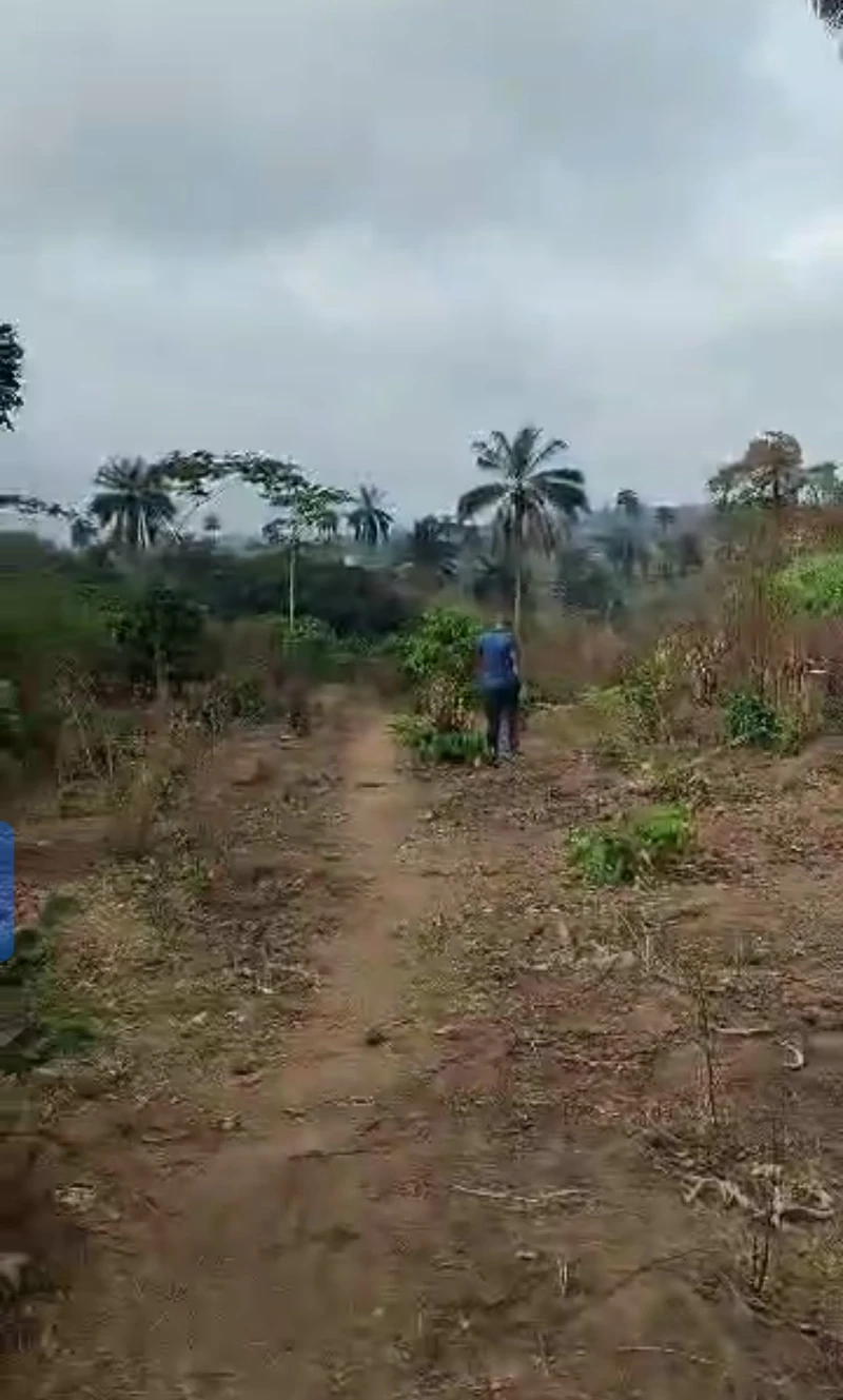 Land for Sale in Across city gate, Delta - Image 3