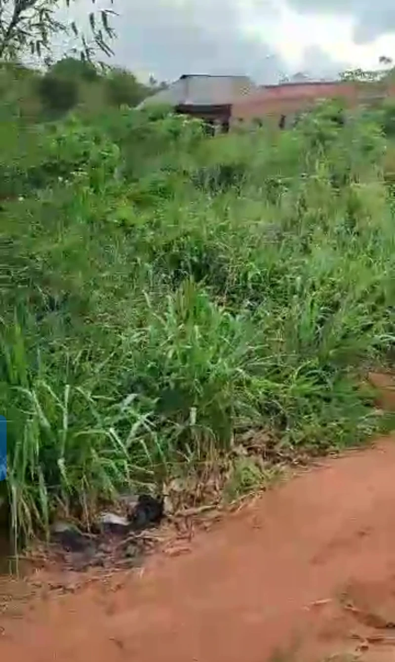 Land for Sale in Okpanam, before Fuji house, Delta - Image 4