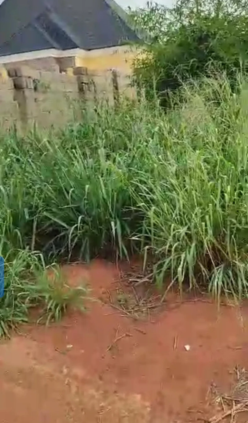 Land for Sale in Okpanam, before Fuji house, Delta - Image 5