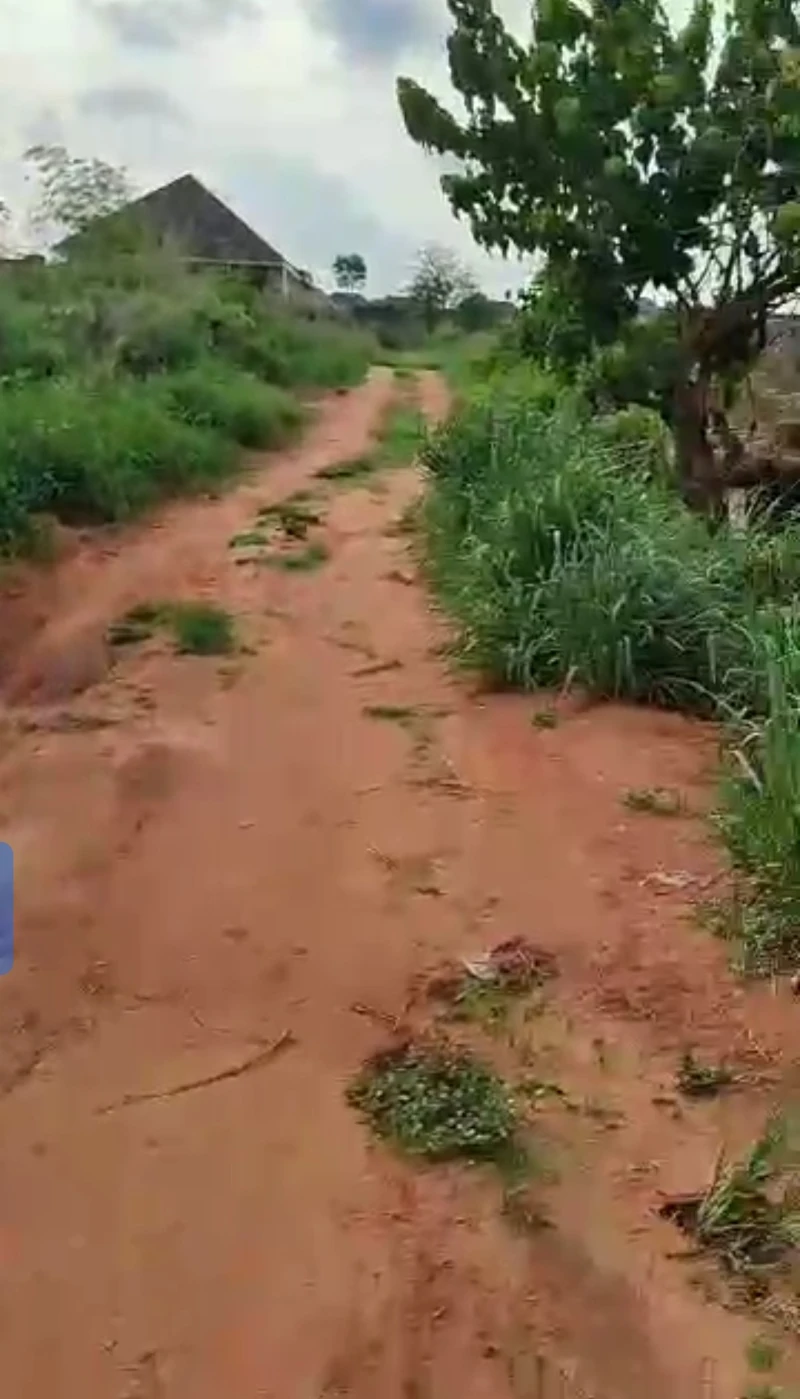 Land for Sale in Okpanam, before Fuji house, Delta - Image 3