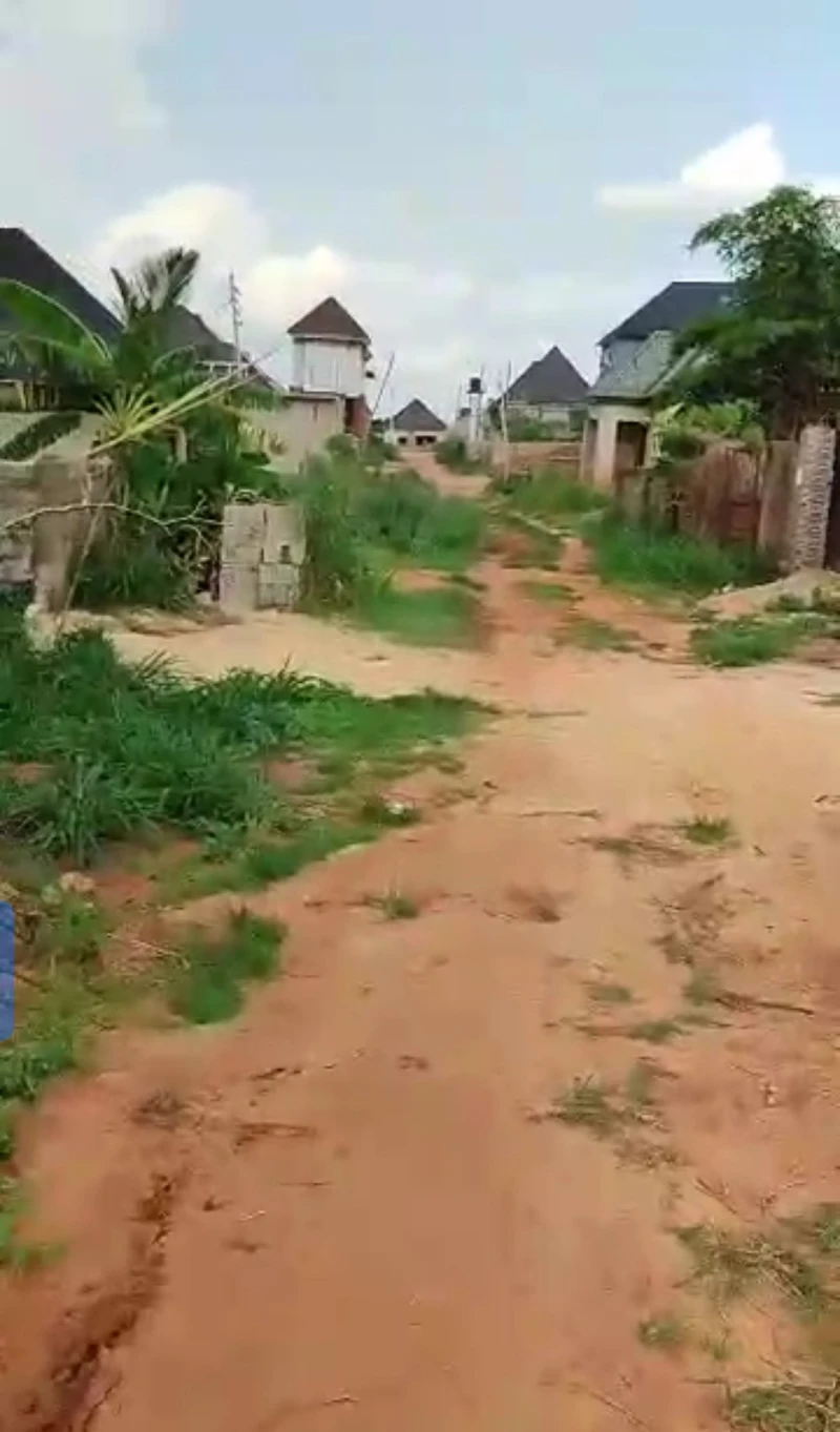 Land for Sale in Okpanam, before Fuji house, Delta - Image 6