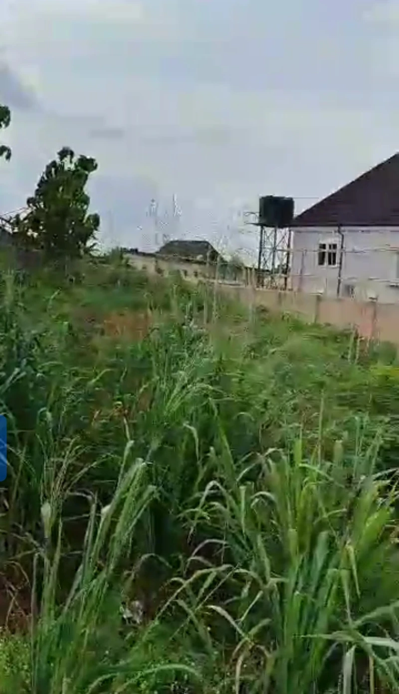 Land for Sale in Okpanam, before Fuji house, Delta - Image 2