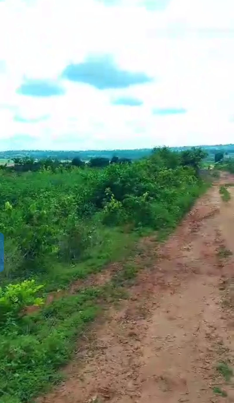 Land for Sale in Okpanam, Delta - Image 3