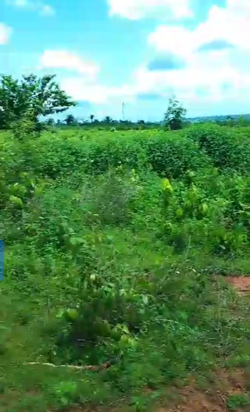 Land for Sale in Okpanam, Delta - Image 4