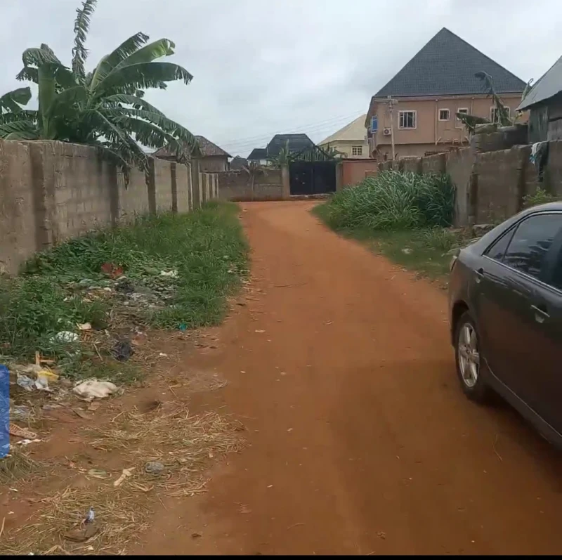 Land for Sale in Okpanam, Delta - Image 3