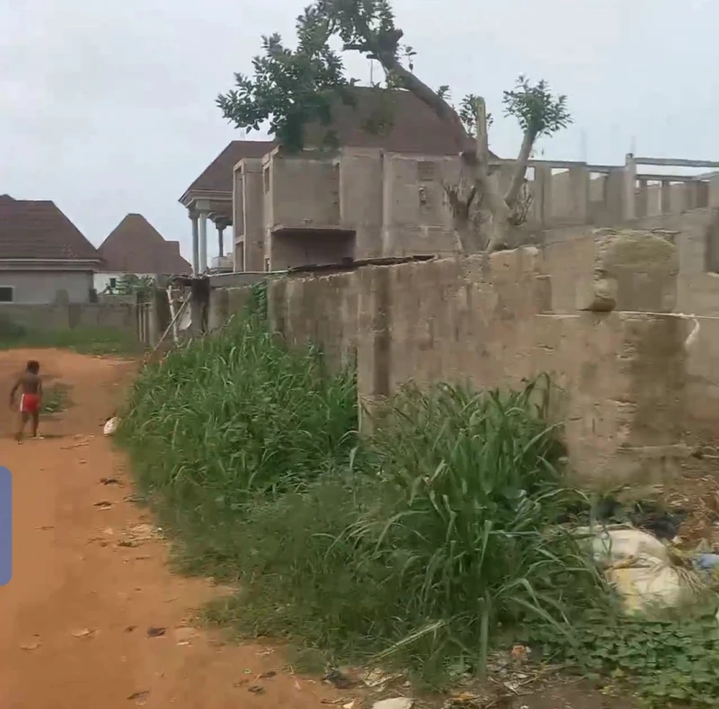 Land for Sale in Okpanam, Delta - Image 2