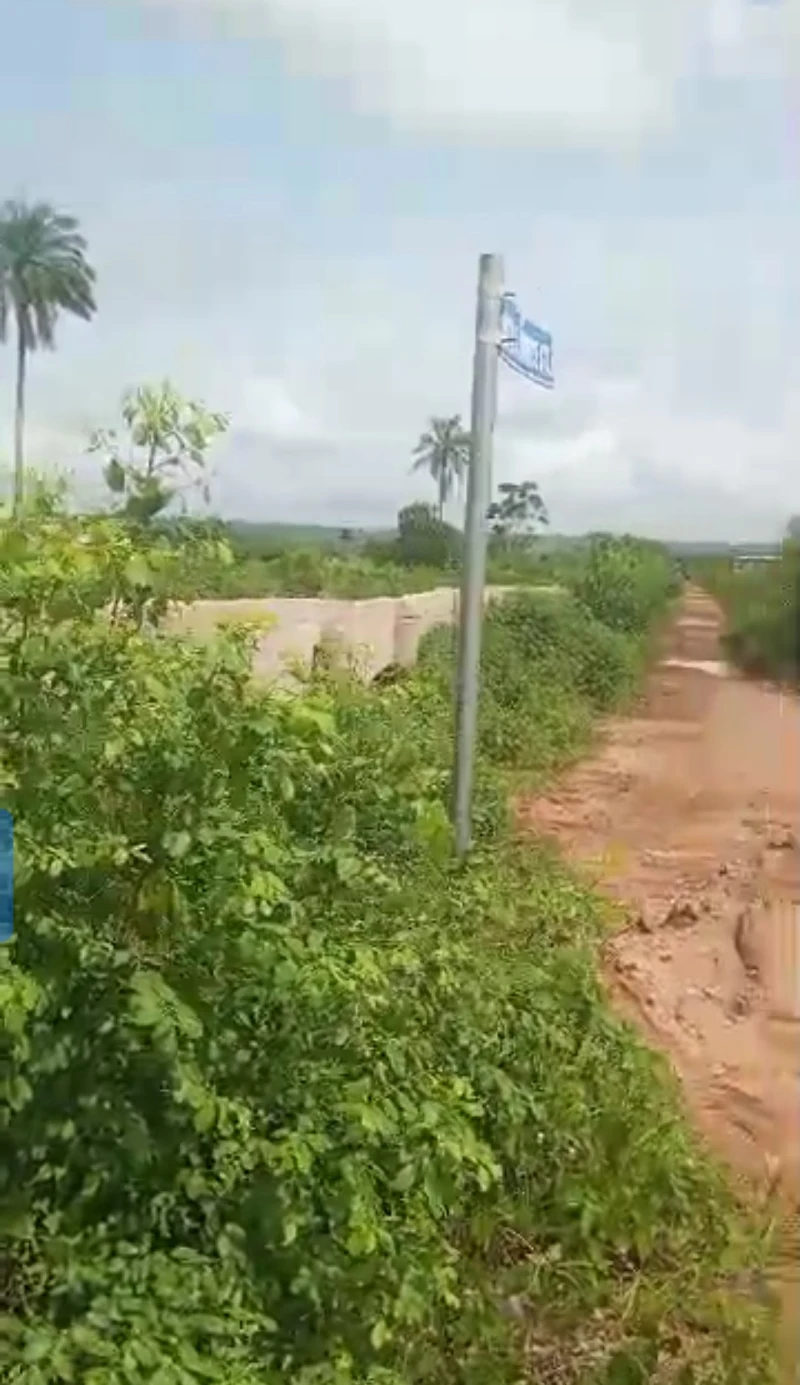 Land for Sale in Okpanam, Delta - Image 4