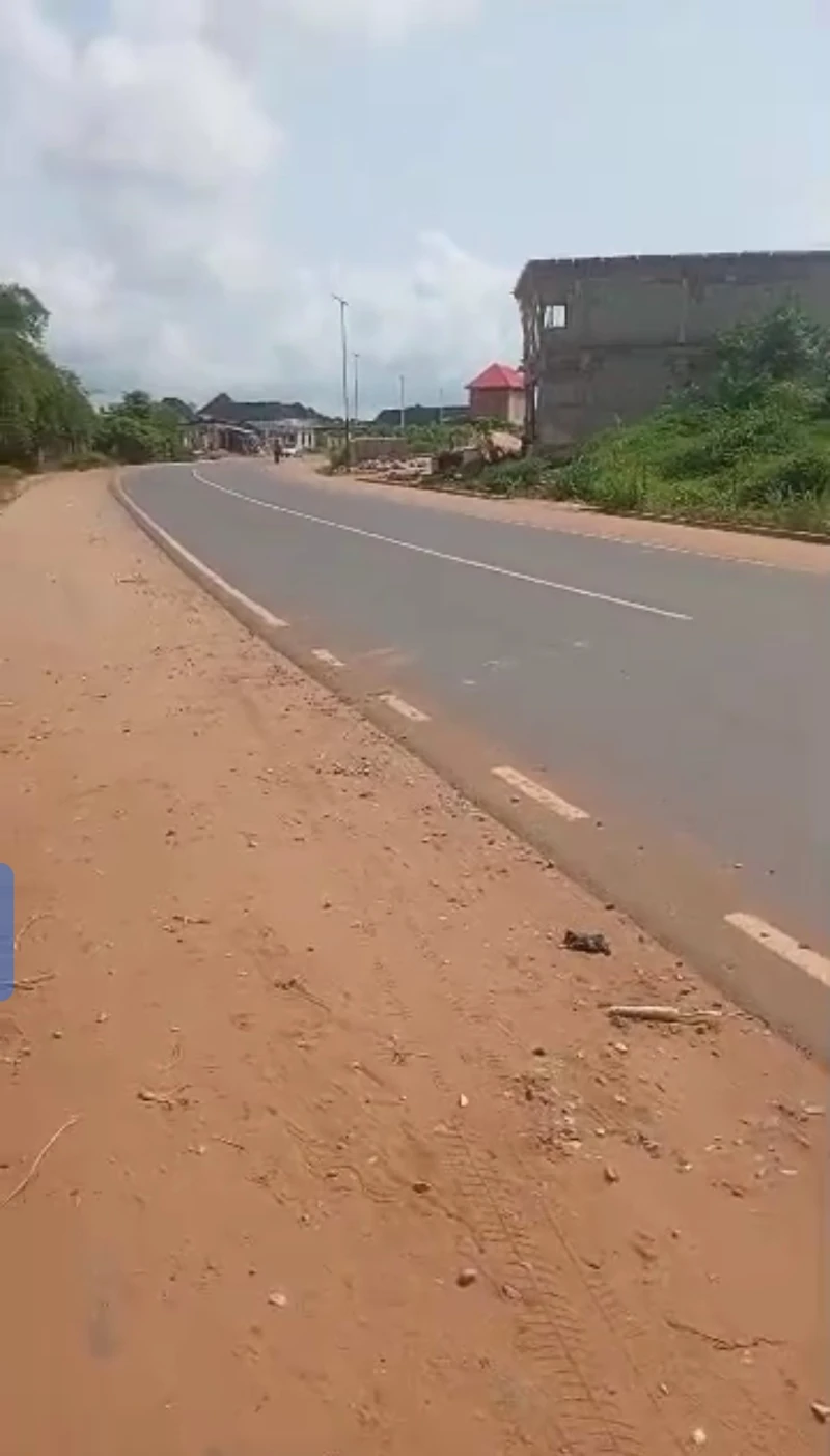 Land for Sale in Okpanam, Delta - Image 1