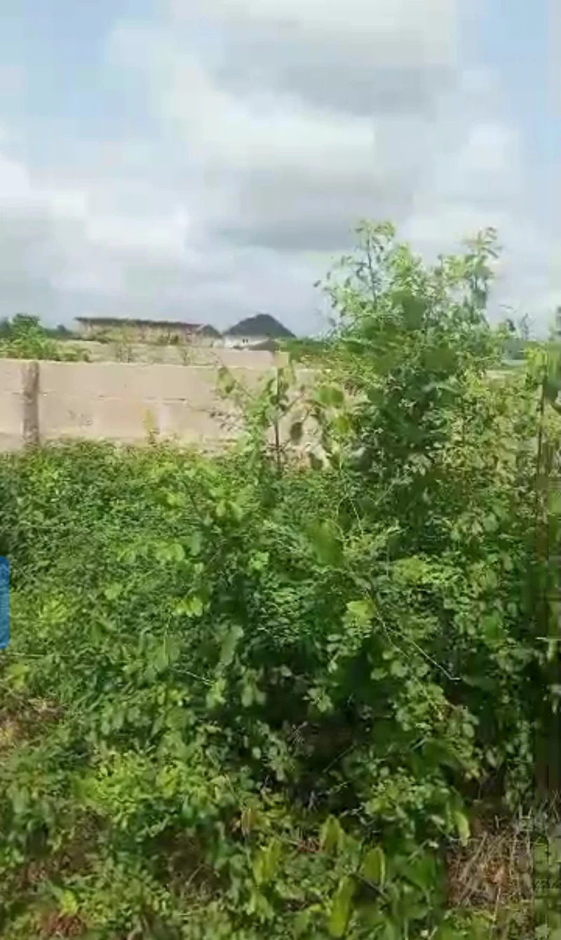 Land for Sale in Okpanam, Delta - Image 3