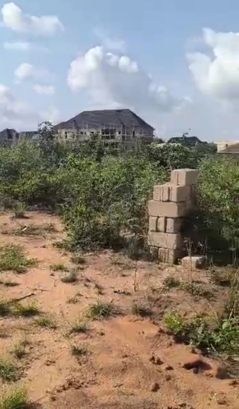 Land for Sale in Okpanam road, Delta - Image 2