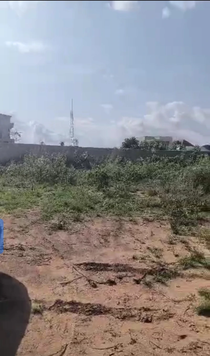 Land for Sale in Okpanam road, Delta - Image 1