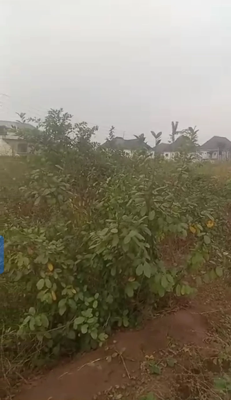 Land for Sale in Ibuzor, Delta - Image 2