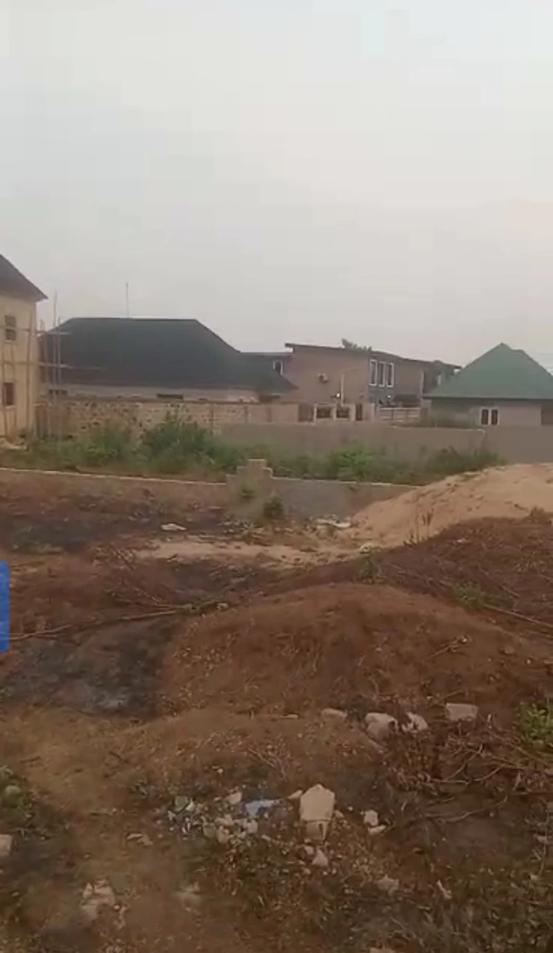 Land for Sale in Ibuzor, Delta - Image 1