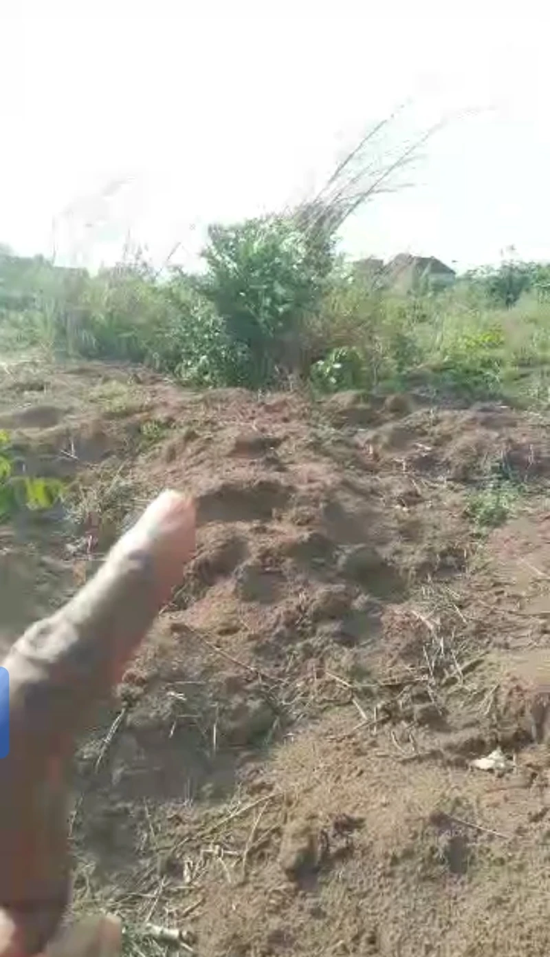 Land for Sale in Ogbeobi, Delta - Image 1