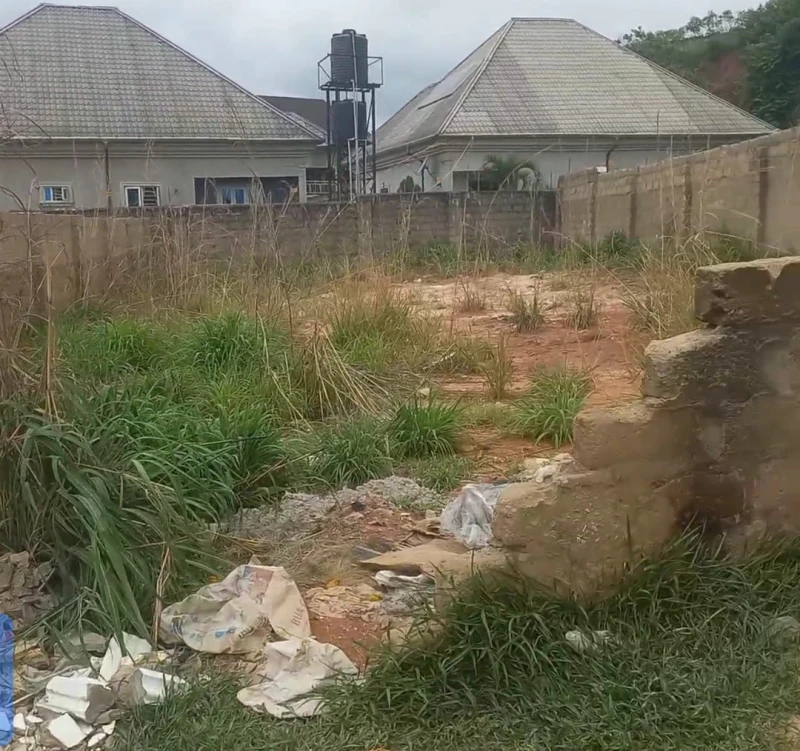 Land for Sale in Nwawolor, Delta - Image 2