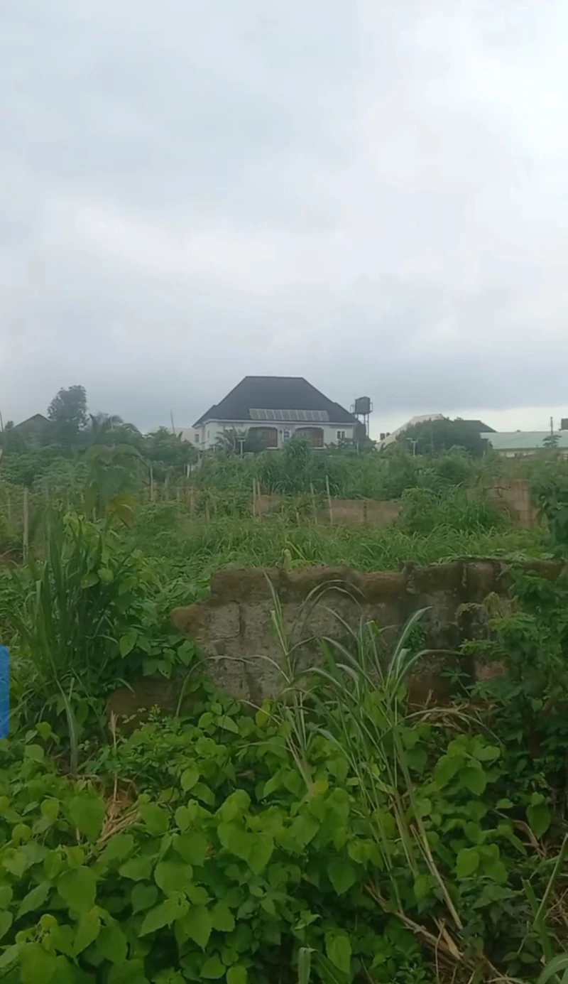 Land for Sale in Back of anioma market, Delta - Image 1