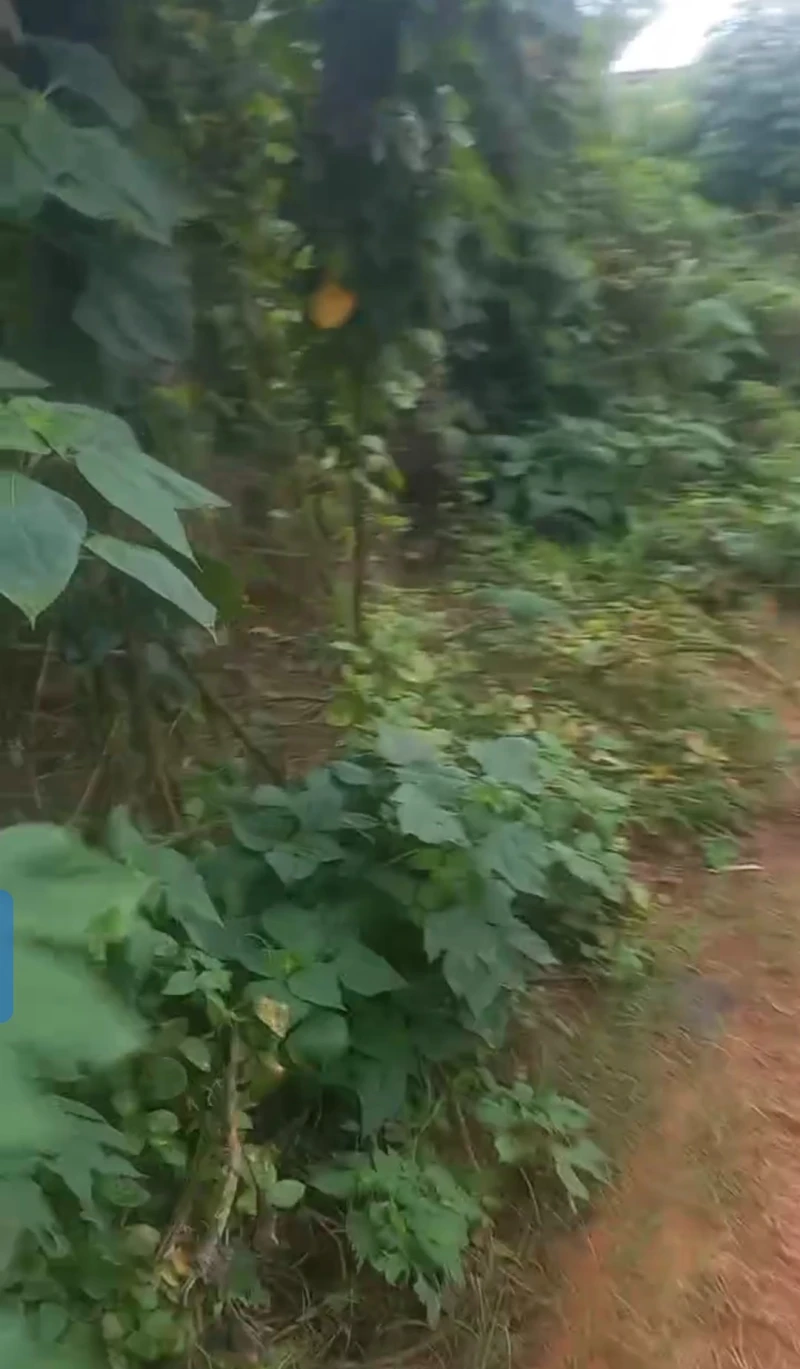 Land for Sale in Back of anioma market, Delta - Image 3
