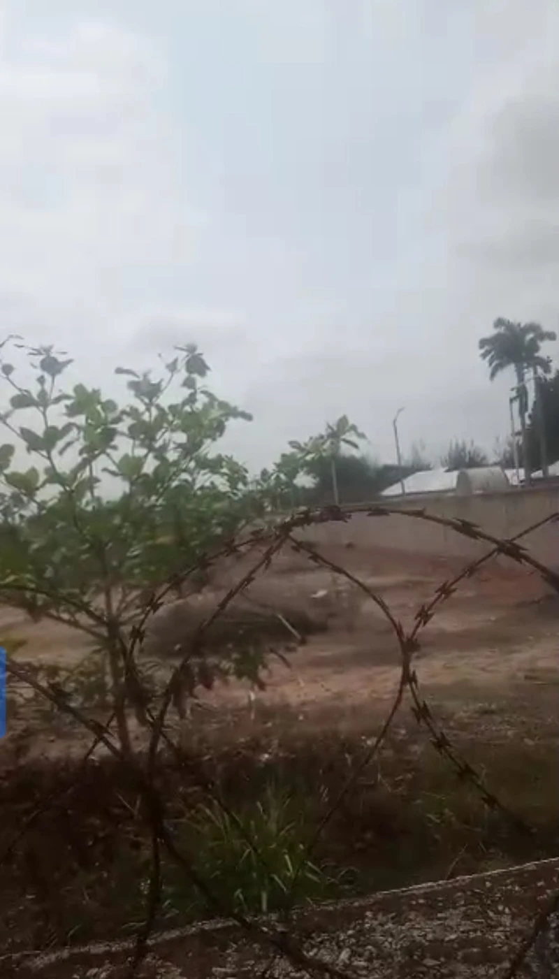 Land for Sale in Garden of Eden, Delta - Image 3