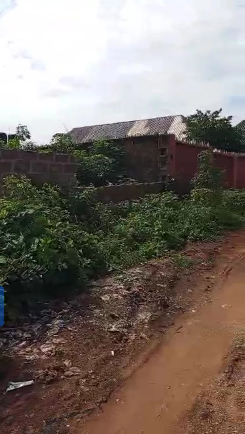 Land for Sale in Okpanam city gate, Delta - Image 2