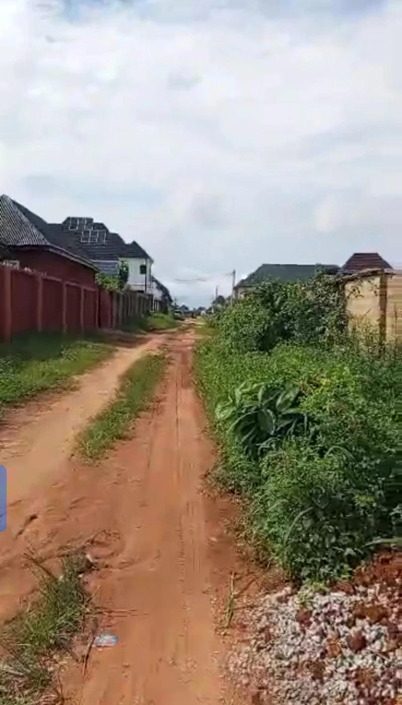 Land for Sale in Okpanam city gate, Delta - Image 1