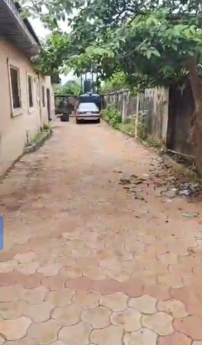 4 Bedroom Flat for Sale in Okpanam road, Delta - Image 1