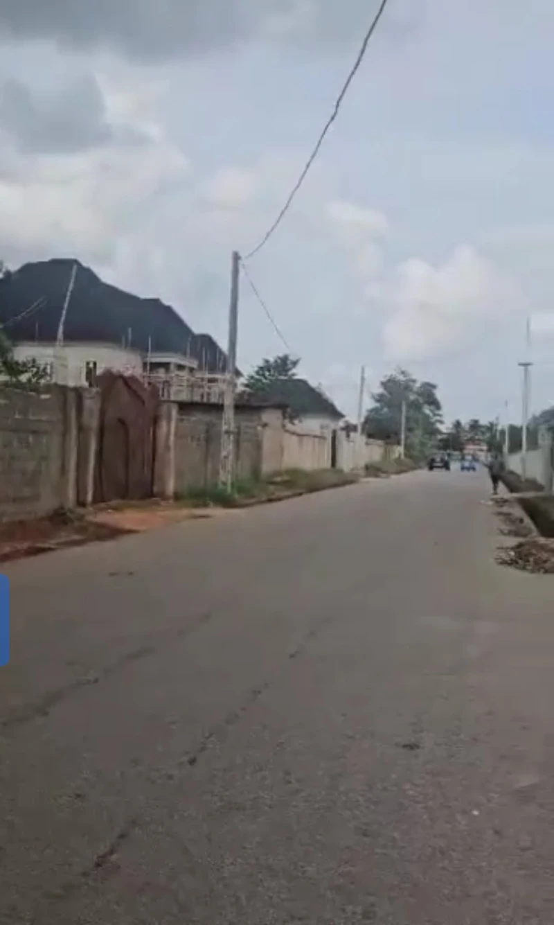 Land for Sale in Back of needs Hotel, Delta - Image 2